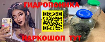 ешки Гатчина