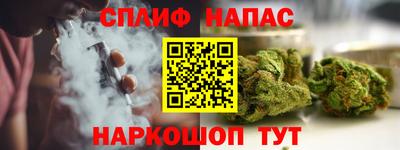ешки Гатчина