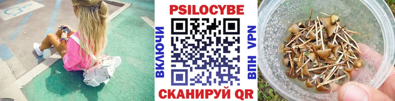 даркнет сайт  Ишим  Галлюциногенные грибы ЛСД 