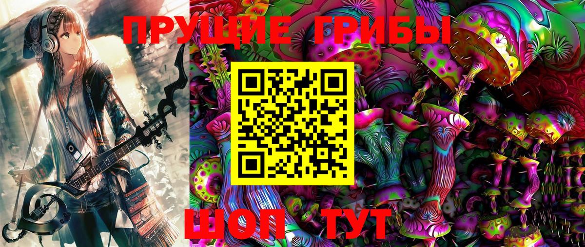 Псилоцибиновые грибы Psilocybe Ишим